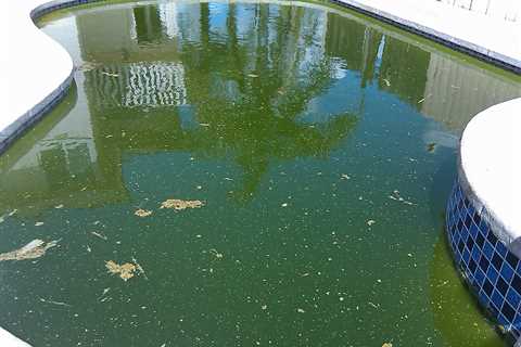 How To Clean Algae From Pool - Sesler Pool Services