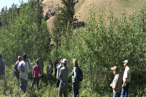 Forest Stewardship Planning and Implementation Services in Wellston, Ohio