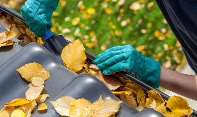 Gutter Cleaning Holcombe