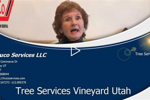Emergency Tree Services Midvale Utah