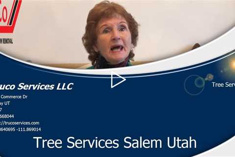 Emergency Tree Services Lehi Utah