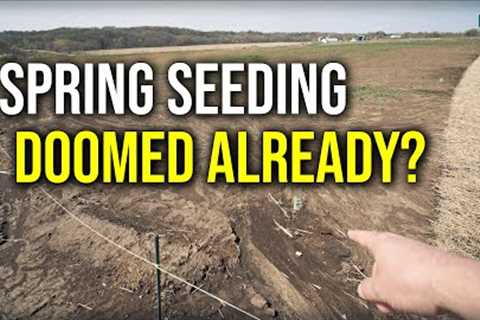 SEEDING A LAWN IN SPRING UPDATE!! // New Front Lawn Renovation Part 2