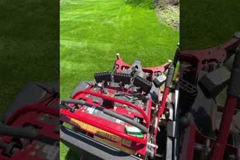 Before AND After.. Toro Bagger in full force!