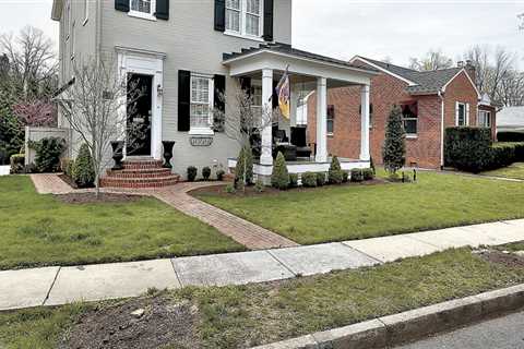 Do My Trees Need Trimming in Winchester, Virginia?