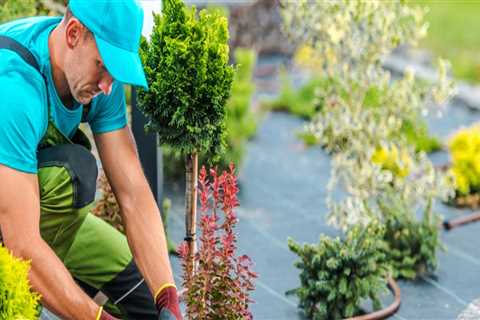 Why Do Landscapers Charge So Much Money?