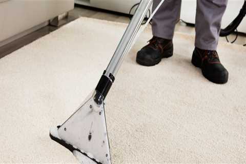 Why Professional Commercial Carpet Cleaning is Essential