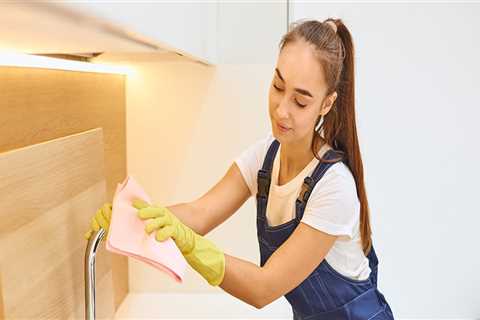 What is the Cost of a Maid Service?