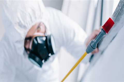 Is pest control really safe?