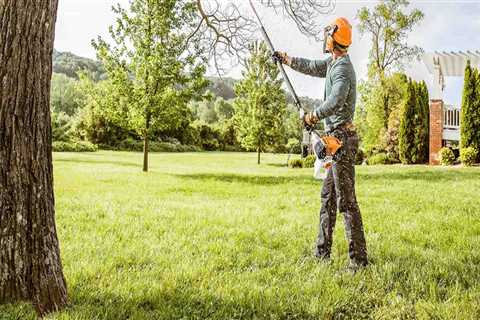 What does trimming a tree mean?