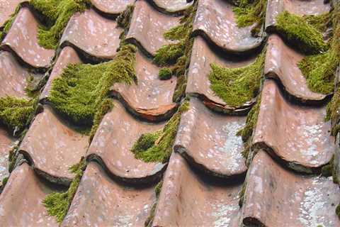 What is the number one cause of roof failure?