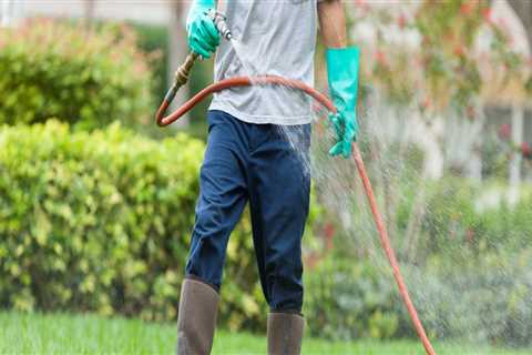 DIY Pest Control Vs. Professional Pest Control: Which Works Better In Forney TX?