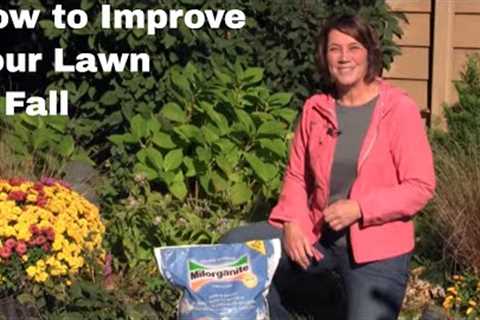 How to Improve Your Lawn in Fall