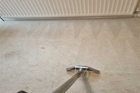 How Long Does A Carpet Take To Dry After Shampooing?