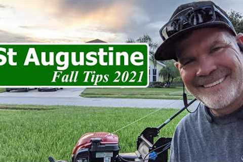 St Augustine Grass Lawn Tips Fall 2021