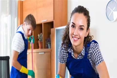 Why You Should Hire A Professional House Cleaner For The Construction Cleaning Of Your Newly..