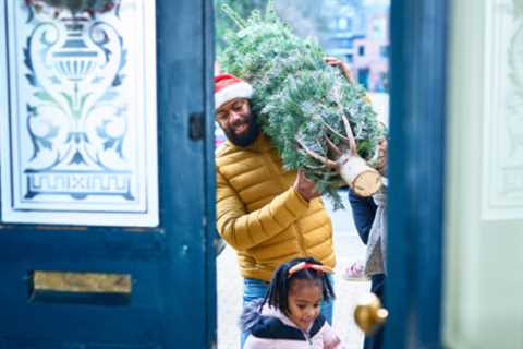 How to Set Up and Care For a Live Christmas Tree