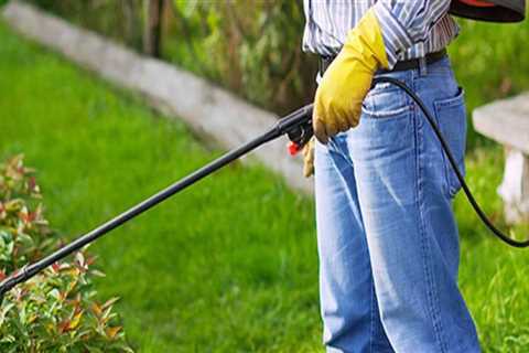 How much does lawn pest control cost?