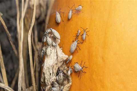 What is pest control and why is it important?