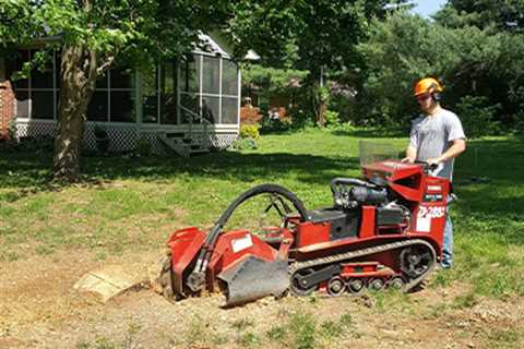 Tree Removal Georgetown	  