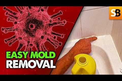 Bathroom Mold Removal Tips