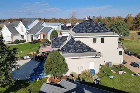 Tips For Keeping Trees Away From Your Home’s Roof