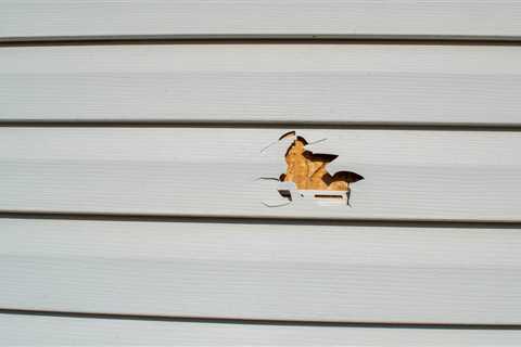 Addressing Common Signs Your Siding Needs Repair