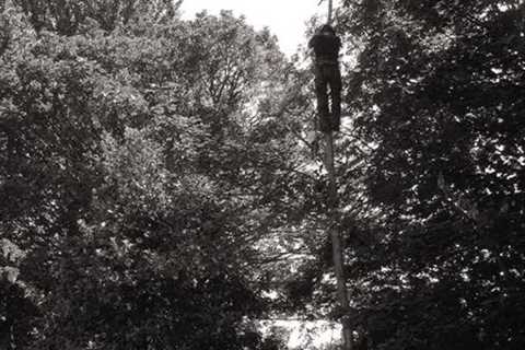 Tree Surgeon Tithe Barn Hillock