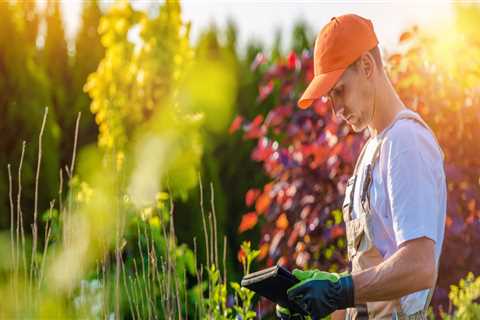 The Importance Of Hiring An Arborist For Groundskeeping In Ellisville, MS