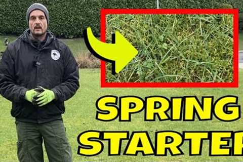 Start to Sort the MAIN PROBLEM in your LAWN this Spring