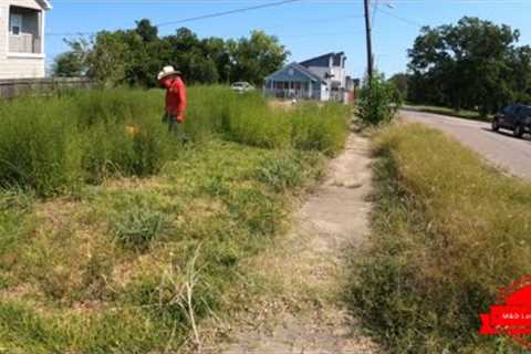 We Found Something EXTREMELY DISTURBING While Cutting This EYESORE Of A Yard