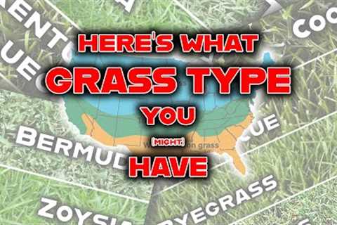 Stop! Identify your GRASS TYPE with these 3 SIMPLE steps! Your lawn care journey must begin here!