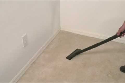 How to Stop Mold After Water Damage to the Carpet : Carpet Cleaning Tips