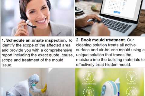 Mould Removal  How to Get Rid of Mould