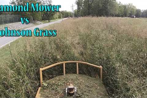 Mowing Overgrown Johnson Grass With The Diamond Mower