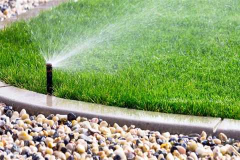 The Advantages Of Installing An Irrigation System When Caring For Trees Around Your Omaha Home