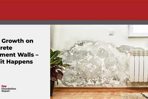 Mold Growth on Concrete Basement Walls – How it Happens