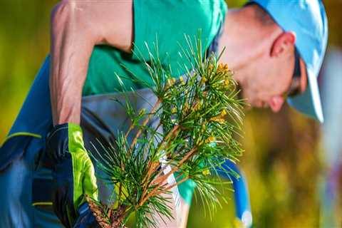 What's the difference between a landscaper and a gardener?