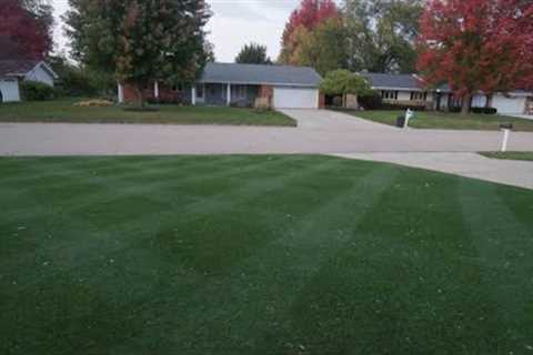 Cool Season Lawn Guide // Fertilizer