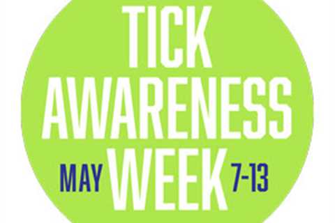 Celebrate Tick Awareness Week in May