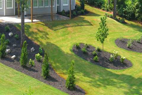 What are the five basic landscaping design principles?