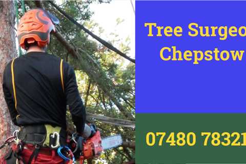 Tree Surgeon Llanellen Residential And Commercial Tree Contractor