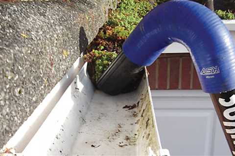 Gutter Cleaning LeSueur