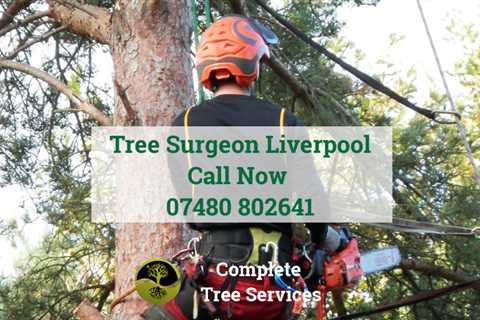 Tree Surgeon Keckwick