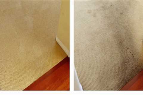 How do i know if my carpets need to be professionally cleaned?