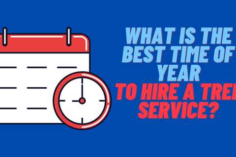 What is the best time of year to hire a tree service?