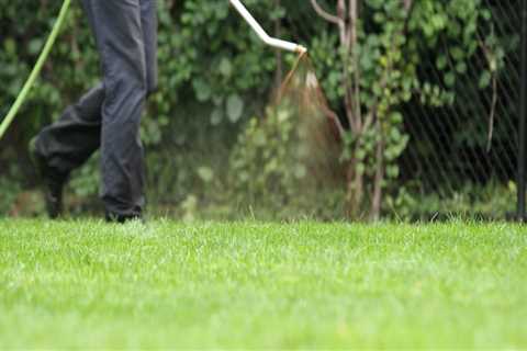 Who has the best lawn care service?