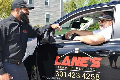 Lanes Pest Control: Your Reliable Partner In Effective Pest Management