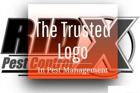 Ridx Pest Control Fresno: Effective Solutions For Local Pest Management