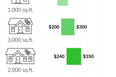 How Much Does An Exterminator Cost For Ants: Factors That Influence Ant Control Prices