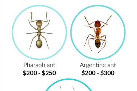 Carpenter Ant Extermination Cost: Factors Affecting The Price Of Removing Carpenter Ants